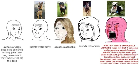 Owners Should Be Punished
