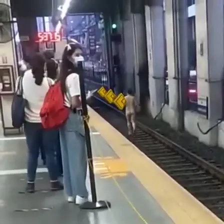 Собака на рельсах метро