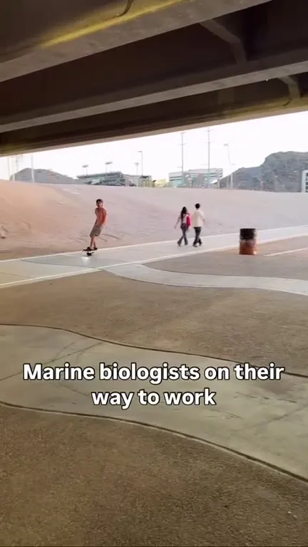 Marine Biologists on Their Way to Work