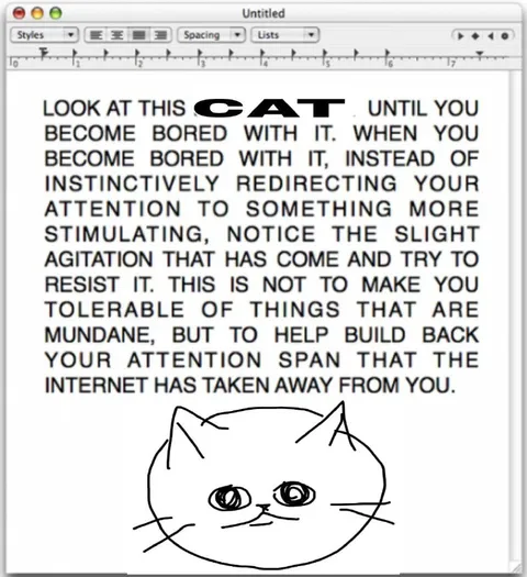 Look At This Cat Until Bored