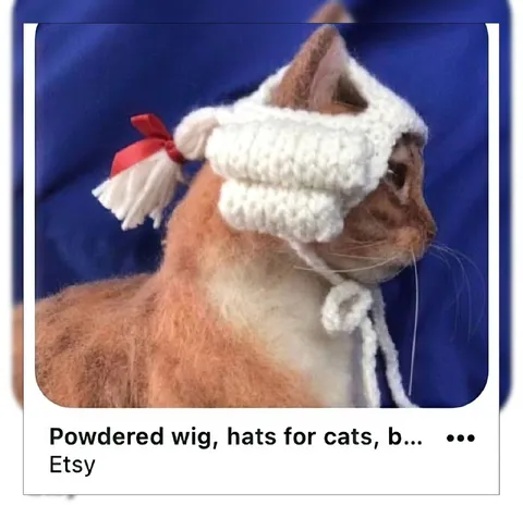 Cat Wearing a Powdered Wig