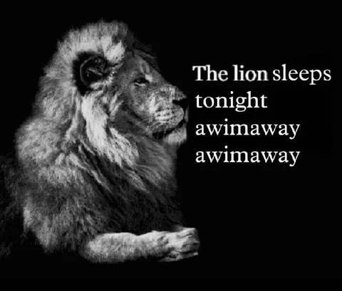 The Lion Sleeps Tonight