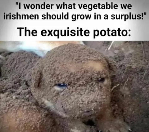 The Exquisite Potato