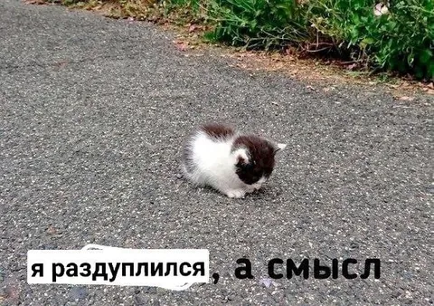 Я раздуплился, а смысл