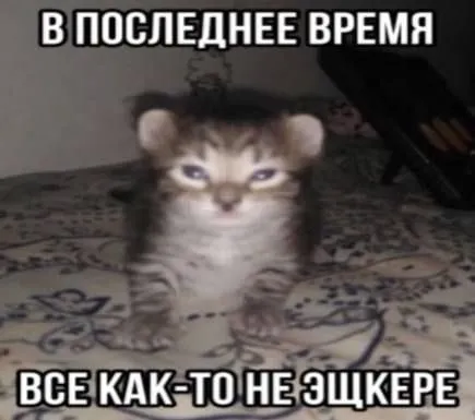 В последнее время всё не зашкере