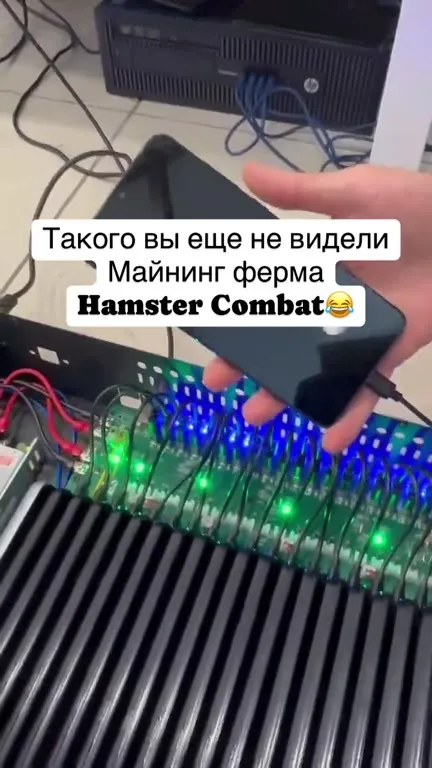 Майнинг ферма Hamster Combat