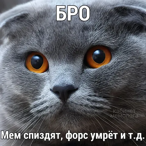 Бро, мем спиздят