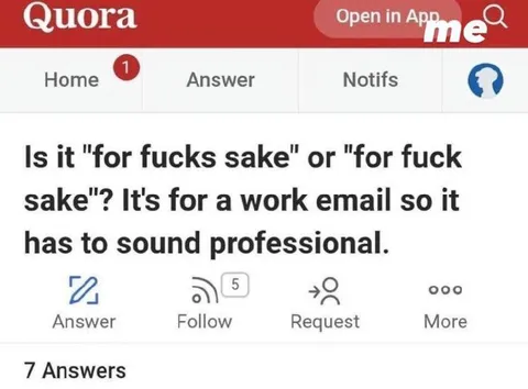 Professional Way to Say For Fuck’s Sake