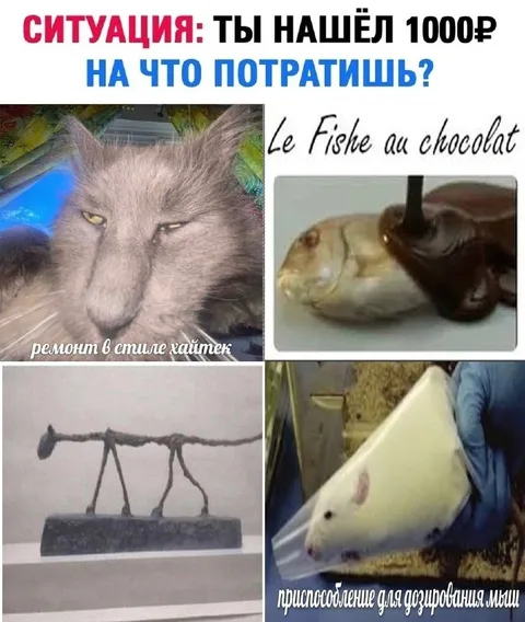 На что потратить 1000 рублей