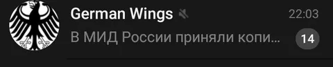 German Wings и МИД России
