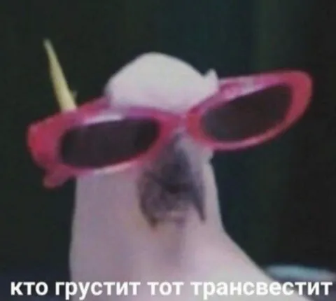 Кто грустит, тот трансвестит