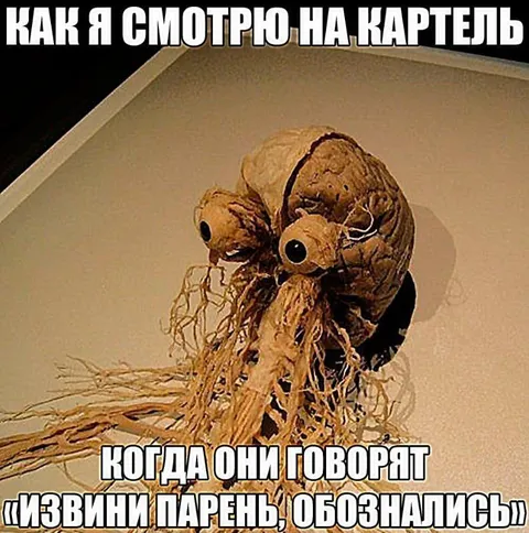 Когда картель начинает говорить