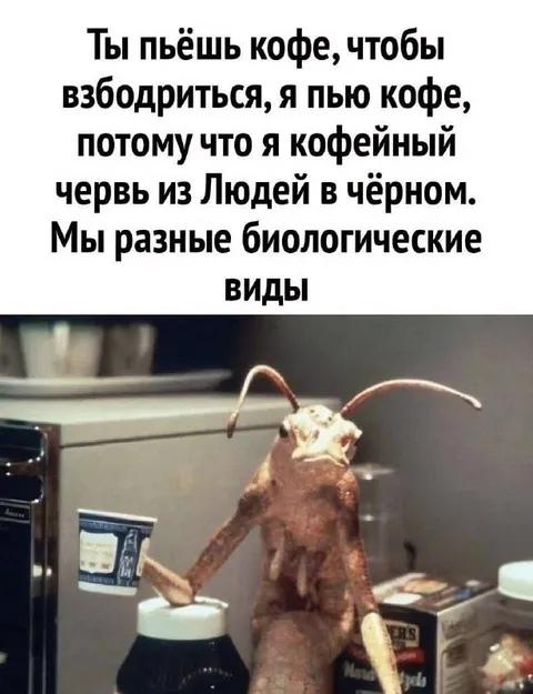 Кофейный червь из Людей в чёрном