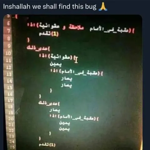Inshallah We Shall Find This Bug