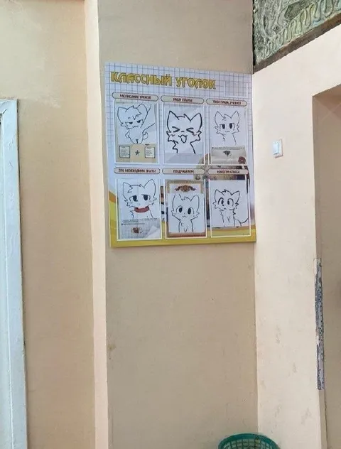 Классный уголок с котами