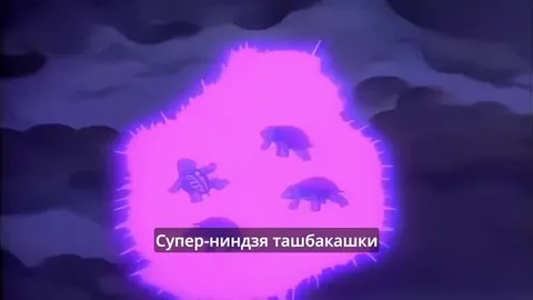 Супер-ниндзя ташбакаашки