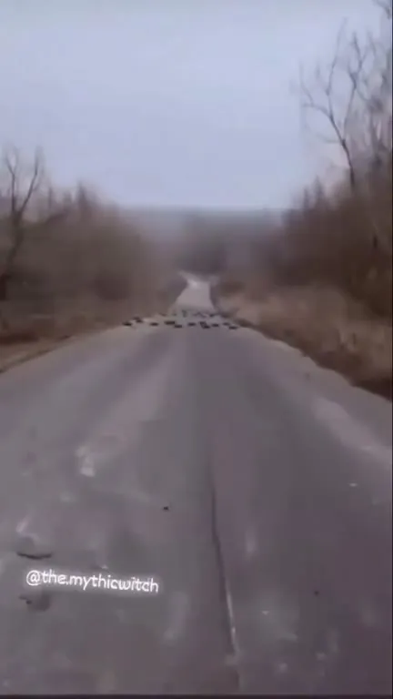 Дорога через минное поле