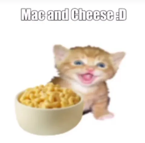 Happy Mac and Cheese Cat