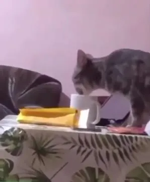 Кот за столом с кружкой