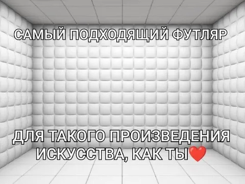 Самый подходящий футляр