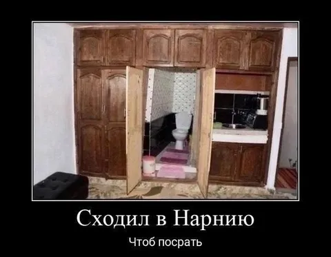 Сходил в Нарнию посрать