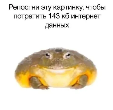 Репостни картинку ради интернета