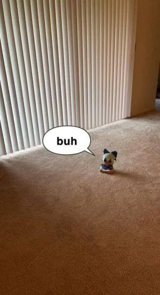 Tiny Dog Says Buh