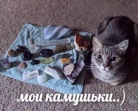 Кот и его камушки
