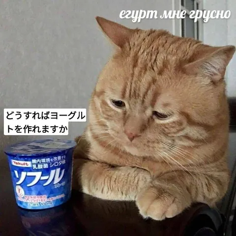 Егурт, мне грусно