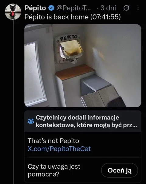 Pépito Is Back Home