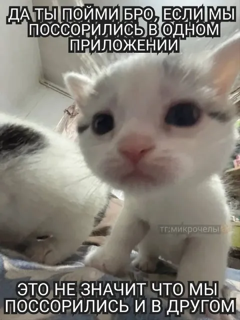 Поссорились в одном приложении