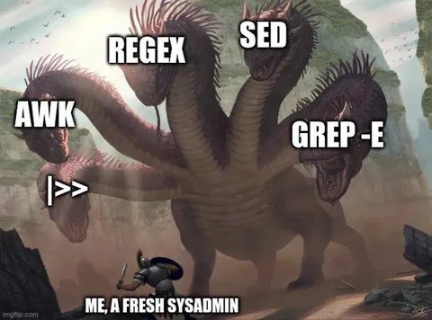 Fresh Sysadmin Faces the Hydra