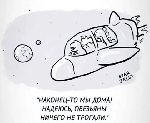 Наконец-то мы дома