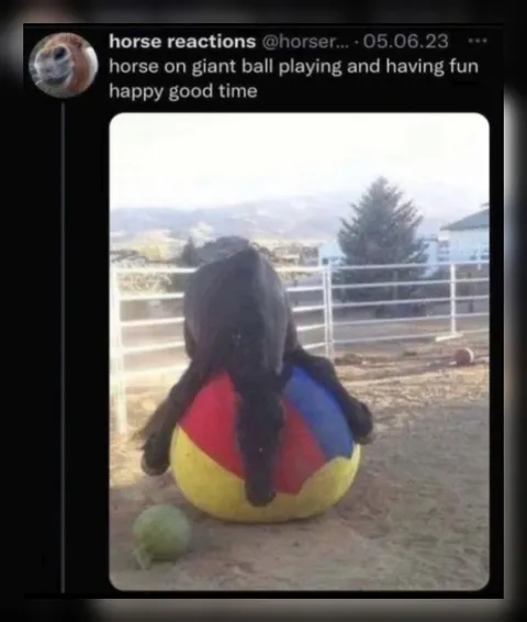 Horse on a Giant Ball