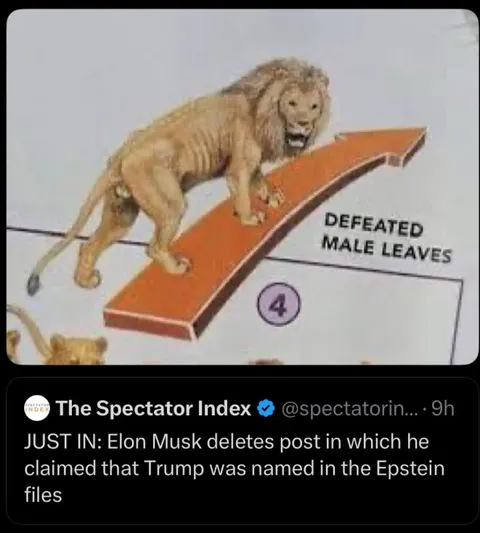 Elon Musk Deletes Epstein Files Post