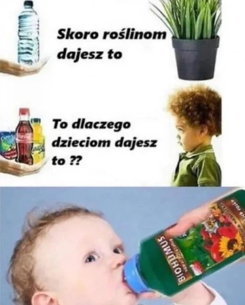 Dzieci piją nawóz