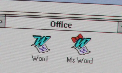 Ms Word Instead of Word