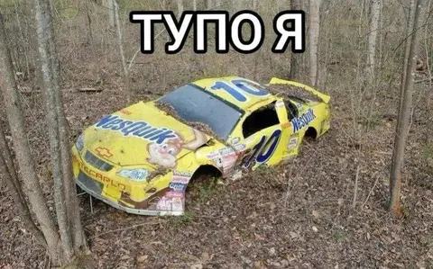 Тупо я в лесу