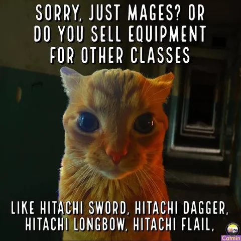 Cat Asks About Hitachi Weapons