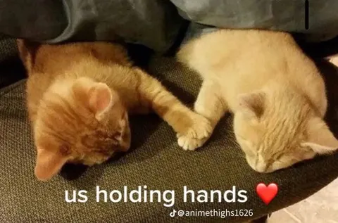 Us Holding Hands