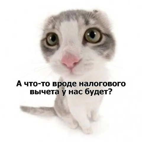 Кот спрашивает про налоговый вычет