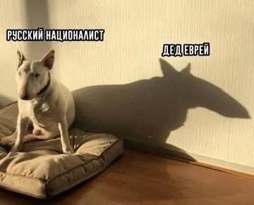 Русский националист и его тень