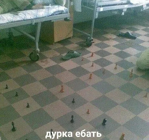 Шахматы в дурке