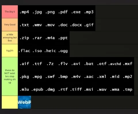 File Extension Tier List