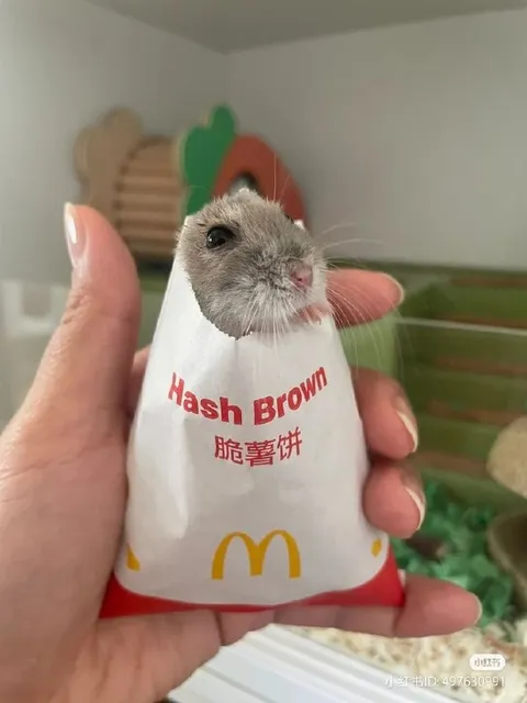 Hamster Hash Brown