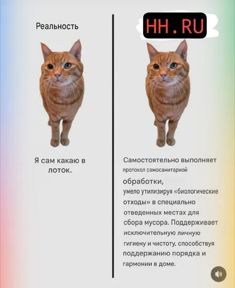 Реальность и официальный стиль