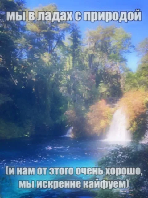 Мы в ладах с природой