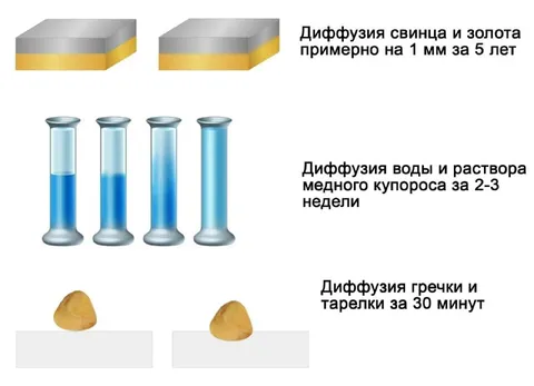 Диффузия гречки и тарелки