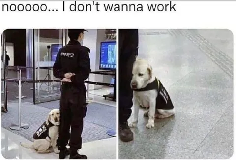 Noooo I Don't Wanna Work