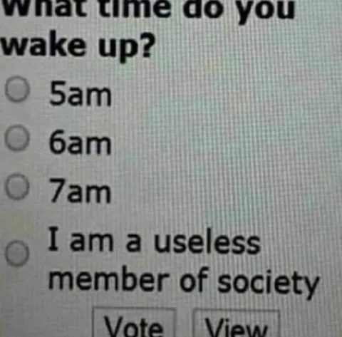 Useless Member of Society